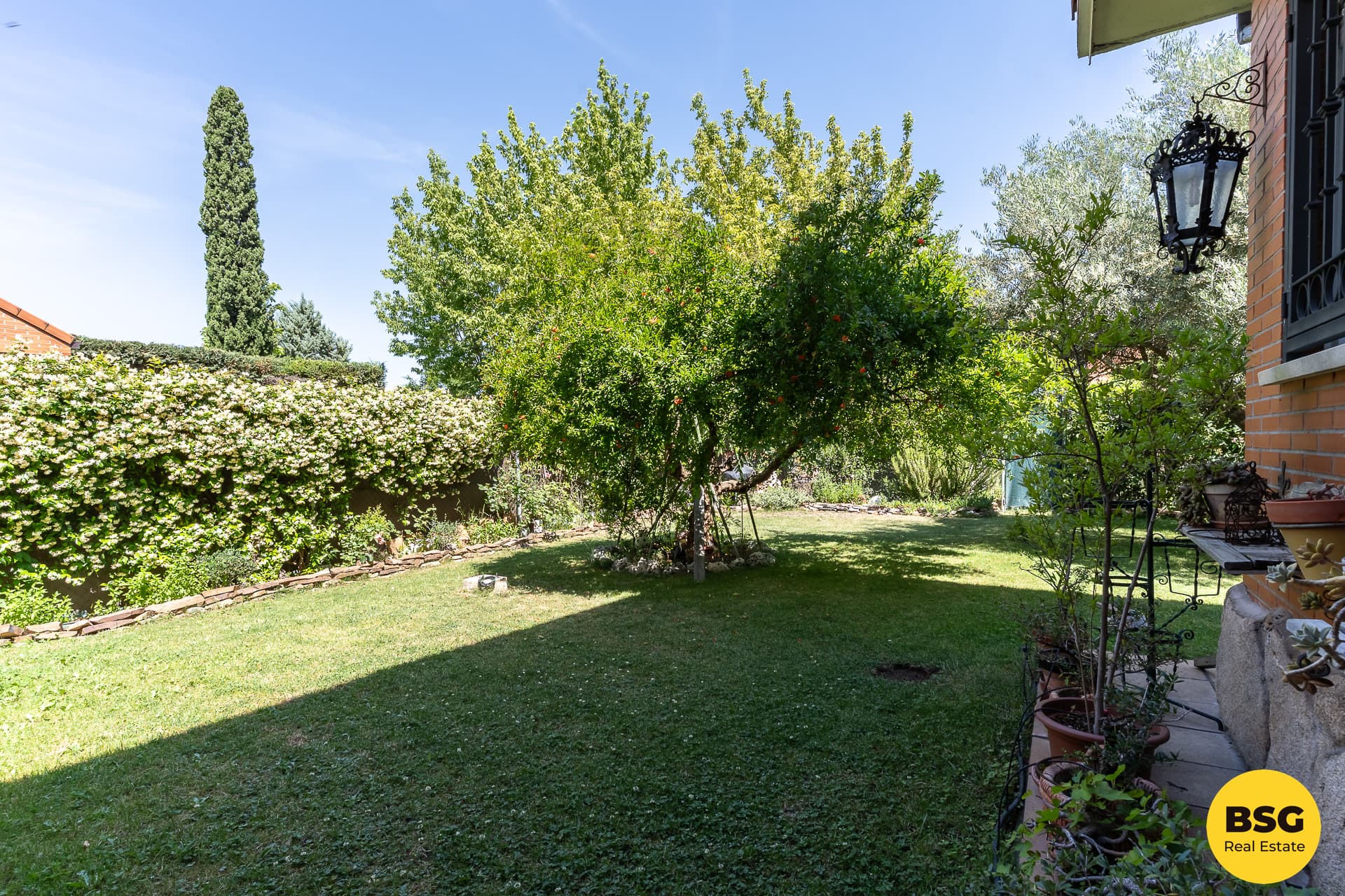 Patio de la vivienda